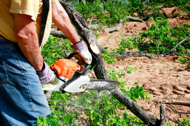 Tree Service Company in Herrin, IL